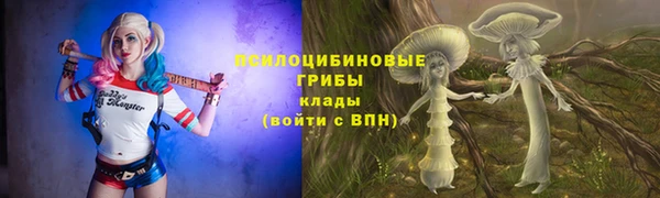Альфа ПВП Аркадак