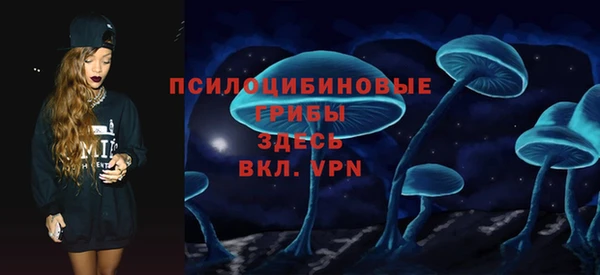 Альфа ПВП Аркадак